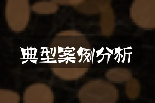 典型案例分析