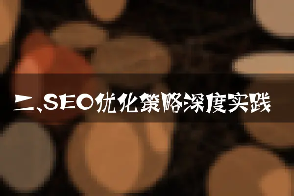二、SEO优化策略深度实践