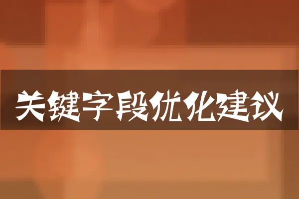 关键字段优化建议
